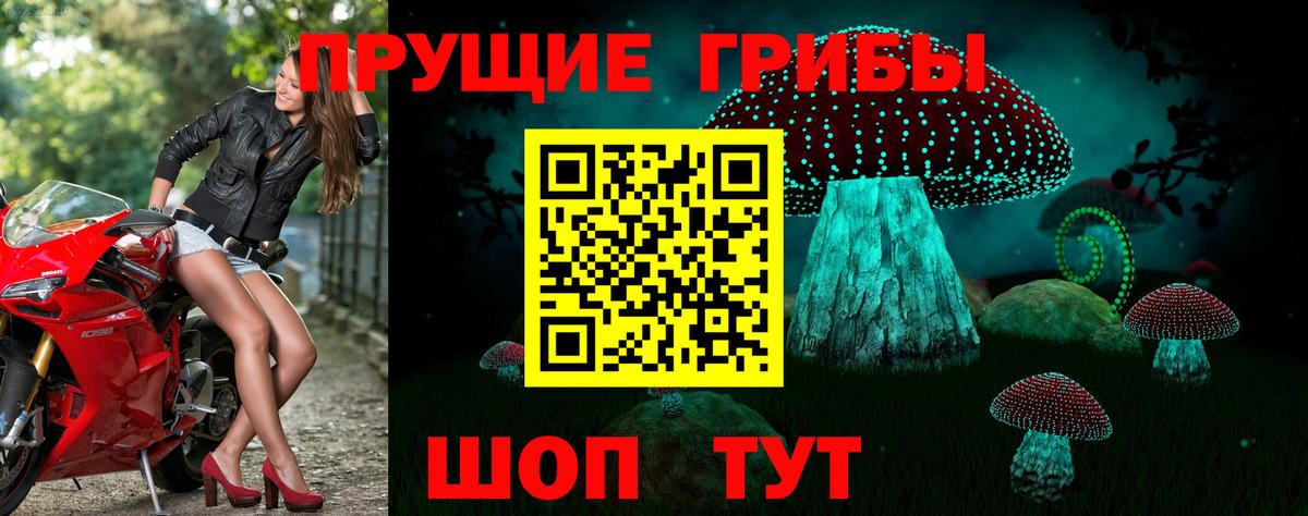 Псилоцибиновые грибы Cubensis  Псилоцибиновые грибы MAGIC MUSHROOMS  Мирный  Вход с VPN 